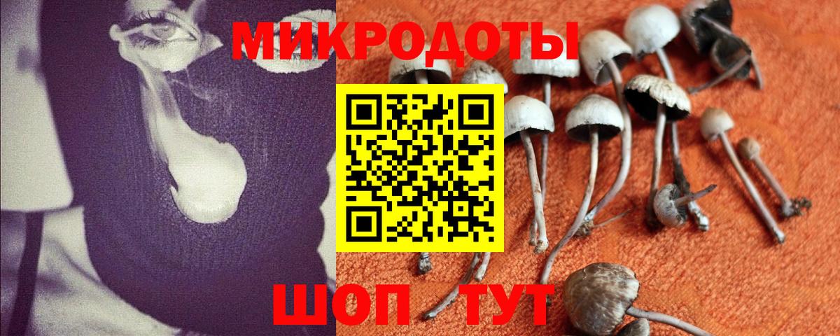 Псилоцибиновые грибы Magic Shrooms  Галлюциногенные грибы мухоморы  Вход с VPN  Сарапул 